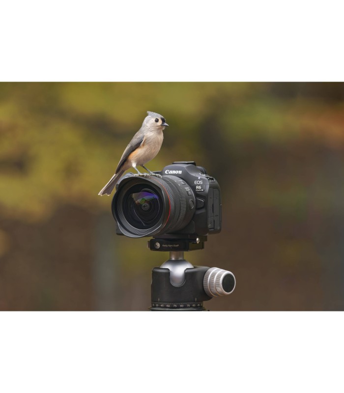 دوربین بدون آینه کانن مدل Canon EOS R6 Mark III 24-105mm f/4-7.1 Lens