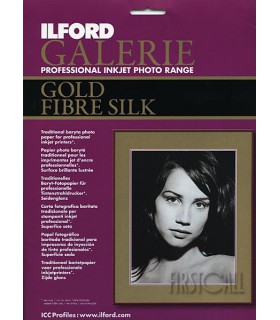 Ilford Galerie Gold Fibre Silk Paper (A4 - 10 Sheets)