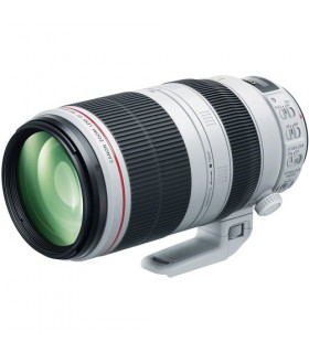 Canon EF 100-400mm f/4.5-5.6L IS II USM