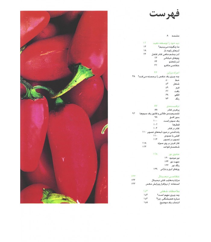 دید خلاقانه در عکاسی 