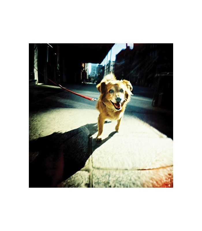 Lomography 55mm Wide Angle Lens & Dedicated Close-Up Lens for Diana+