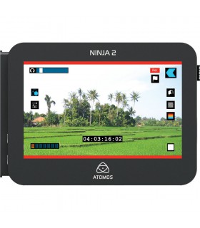 Atomos 4.3 Ninja 2 Video Recorder
