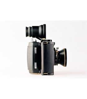 ALPA 12 WA RoseWood