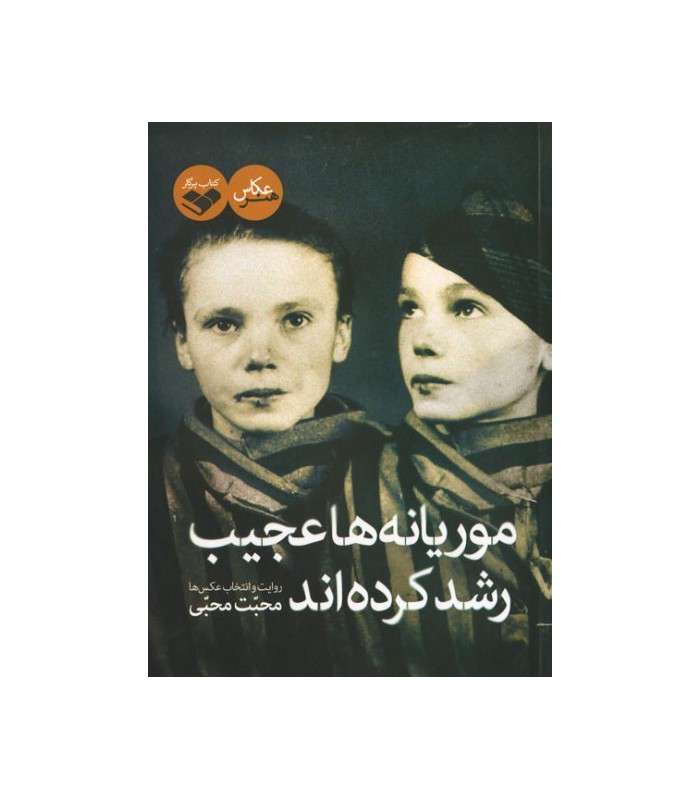 کتاب موریانه ها عجیب رشد کرده اند