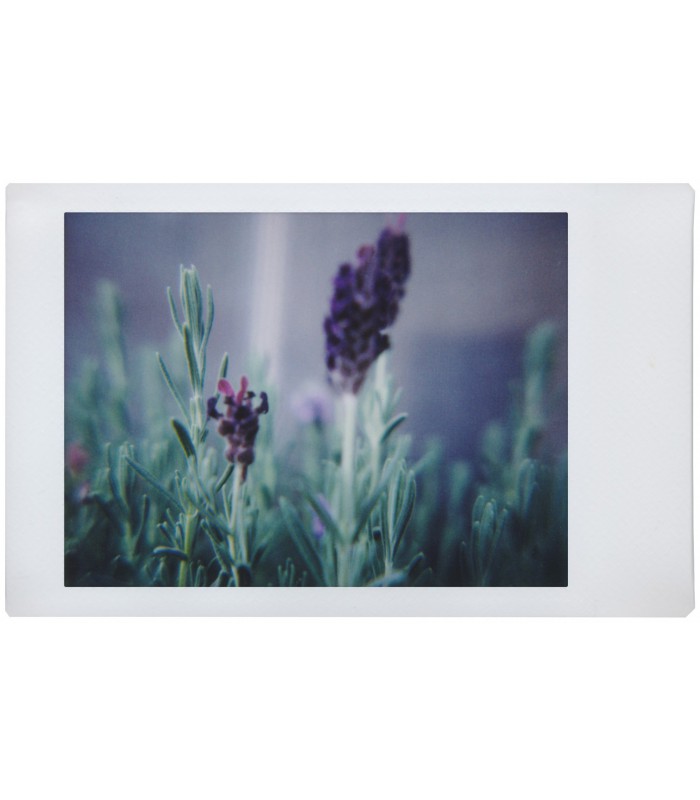 دوربین چاپ سریع Lomo مدل Automat طرح Playa jardin و کیت سه‌تایی لنز