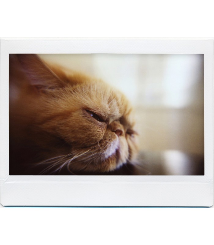 دوربین چاپ سریع Lomo مدل Instant Wide به همراه کیت لنز