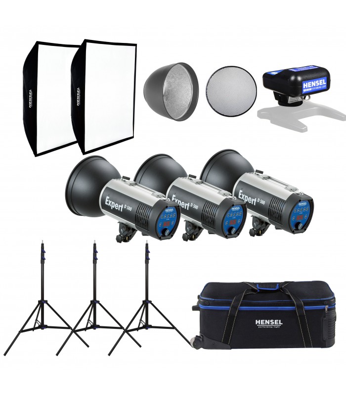 فلاش استودیویی Hensel مدل Expert D 500
