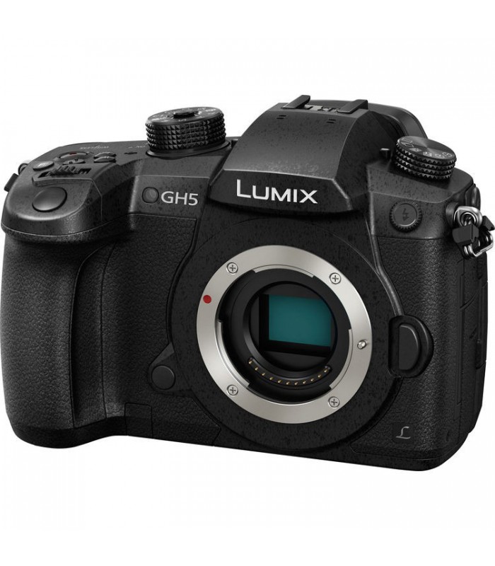 دوربین Panasonic مدل GH5 به همراه لنز DG Vario 12-35mm f2.8