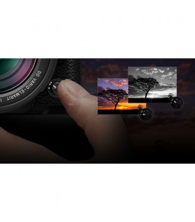 دوربین Panasonic مدل Lumix DC-G9