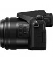 دوربین کامپکت Panasonic مدل Lumix DMC-FZ2500