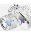 دوربین بدون آینه Sony مدل a7 III