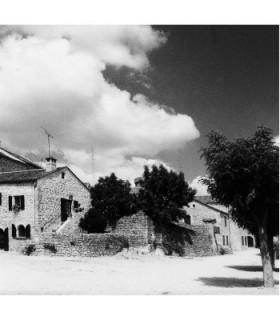 Hama Filter Rot8 67mm