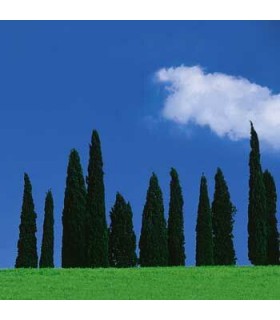 Hama Filter Polarized 62mm