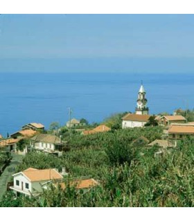 Hama Filter Skylight 62mm