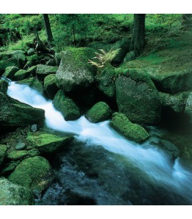 Hama Filter ND4 82mm