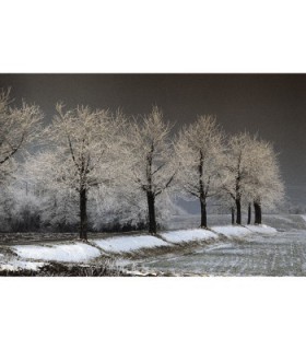 Hama Filter Graduated Dark Grey 72mm