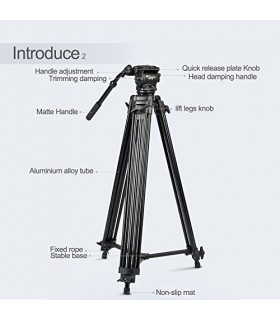 قیمت و خرید سه پایه فیلم برداری ویفنگ مدل WT-718 - فروشگاه پیکسل