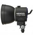 نور ثابت هنسل مدل Hensel C-Light 1000