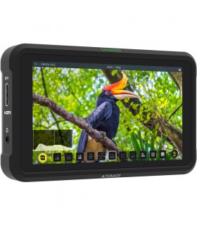 نمایشگر Atomos مدل Shinobi 5.2" 4K HDMI