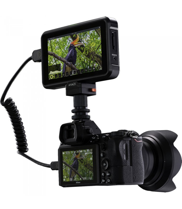 نمایشگر Atomos مدل Shinobi 5.2" 4K HDMI