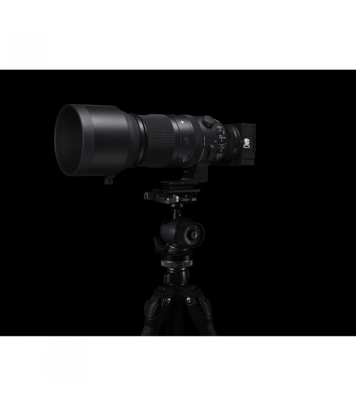 لنز سیگما مانت E مدل Sigma 150-600mm f/5-6.3 DG DN OS Sports Lens for Sony E