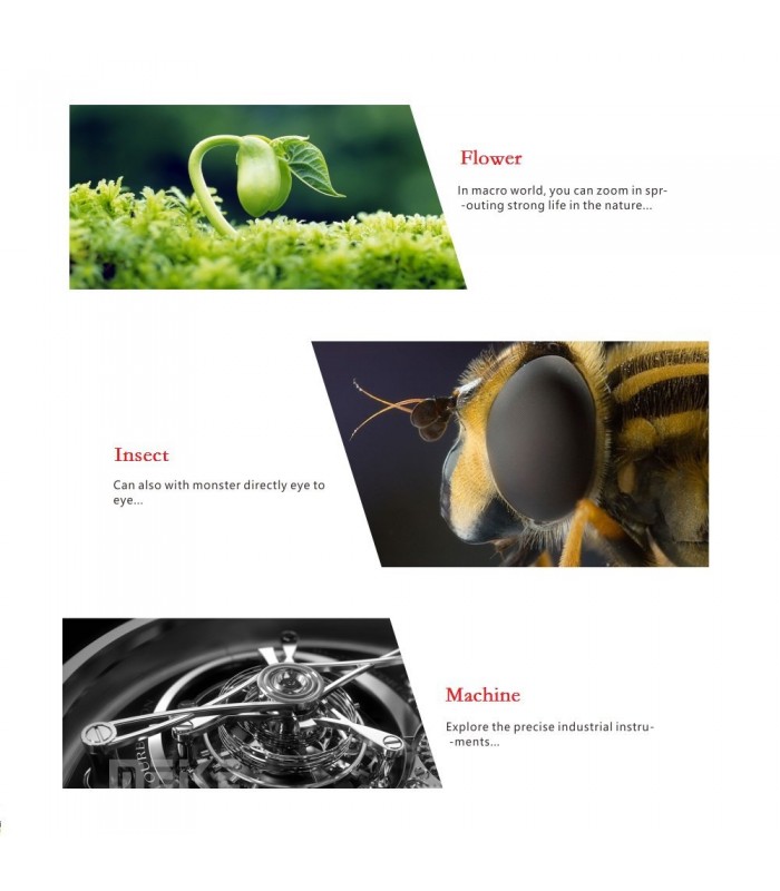 اکستنشن تیوب Meike مدل MK-C-AF1-A-مخصوص دوربین های کانن