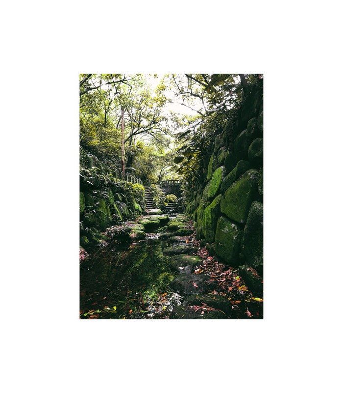 لنز تله فتو بیت پلی مدل bitplay A2 HD Telephoto