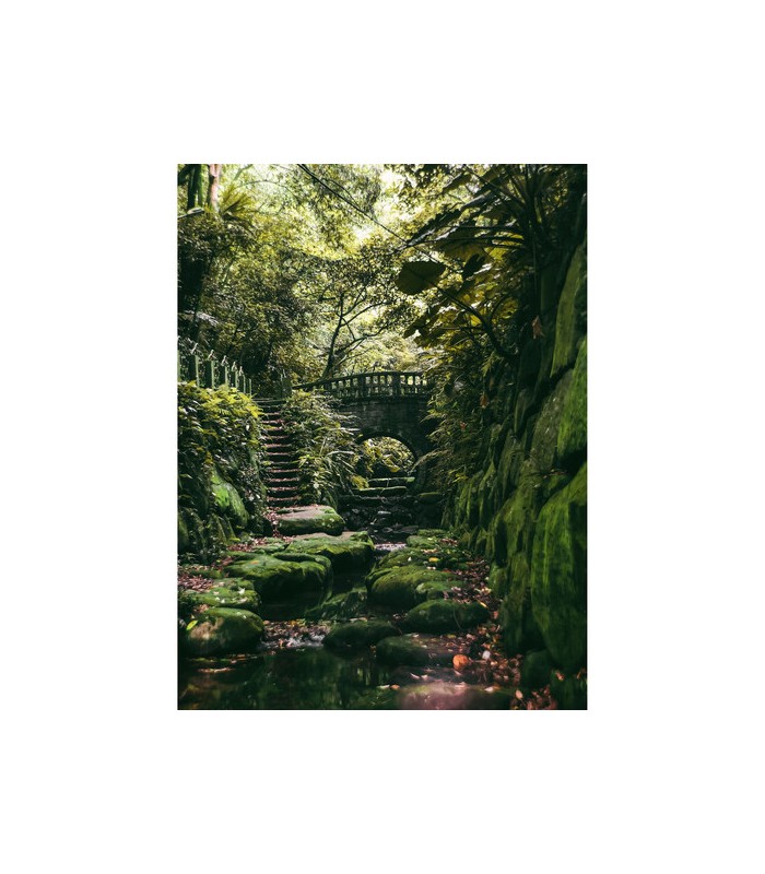 لنز تله فتو بیت پلی مدل bitplay A2 HD Telephoto