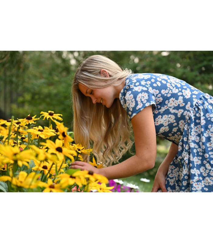 لنز نیکون مدل NIKKOR Z 24-120mm f/4 S