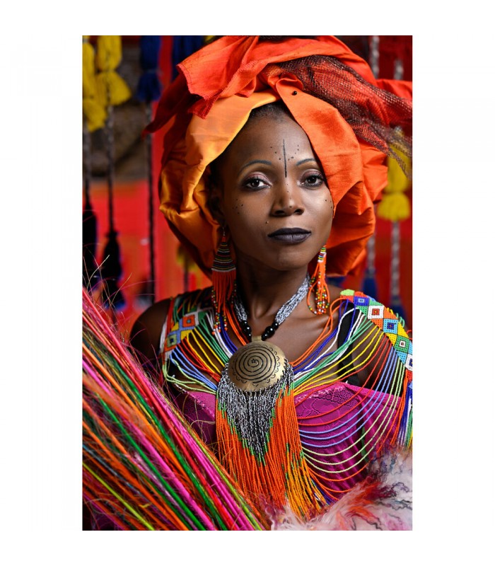 دوربین عکاسی بدون آینه نیکون مدل Nikon Z9