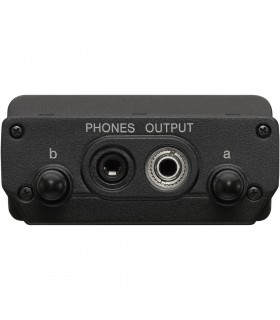 کیت میکروفون بی سیم سونی مدل UWP-D21
