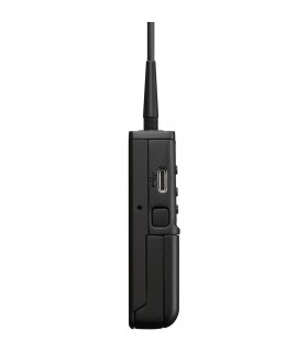 کیت میکروفون بی سیم سونی مدل UWP-D21