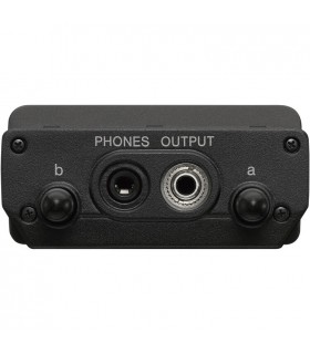 کیت میکروفون بی سیم سونی مدل UWP-D22