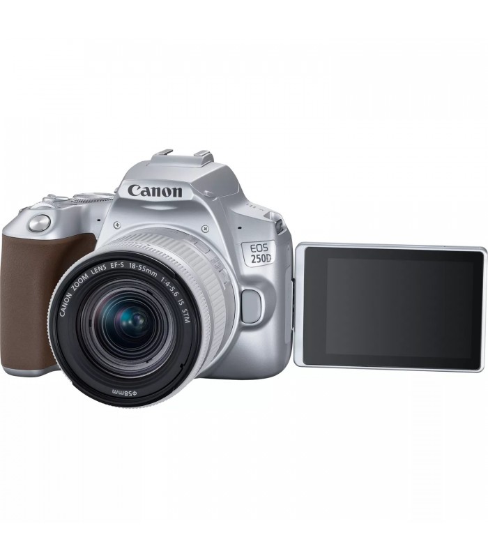 دوربین Canon مدل 250D همراه لنز  EF-S 18-55mm IS STM-نقره‌ای