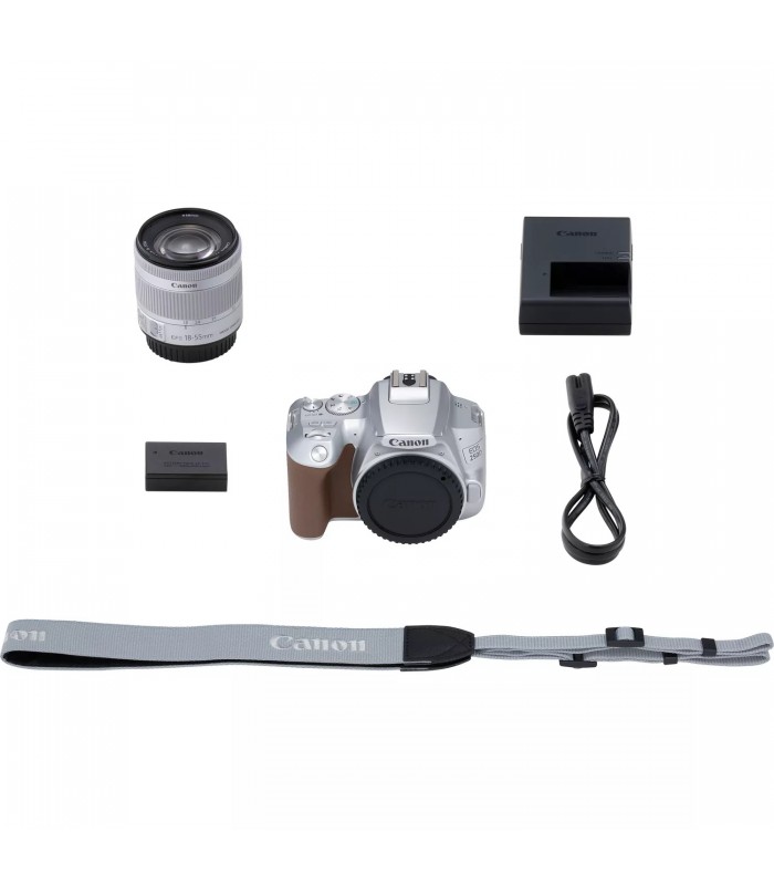 دوربین Canon مدل 250D همراه لنز  EF-S 18-55mm IS STM-نقره‌ای