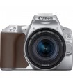 دوربین Canon مدل 250D همراه لنز  EF-S 18-55mm IS STM-نقره‌ای