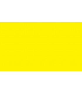 Background Roll 3m x 5m Yellow