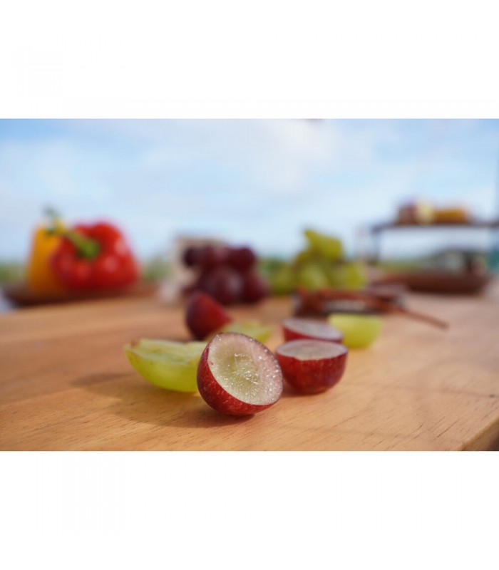 لنز سونی مدل E 10-20mm f/4 PZ G