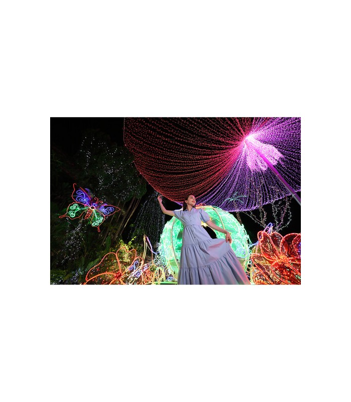 لنز کانن مدل Canon RF 15-30mm f/4.5-6.3 IS STM