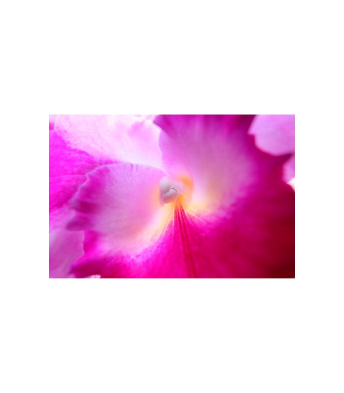 لنز کانن مدل Canon RF 15-30mm f/4.5-6.3 IS STM