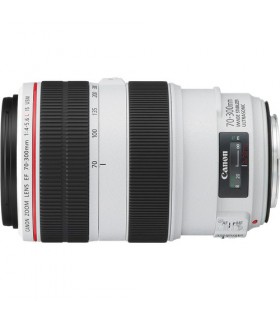 Canon EF 70-300mm f4-5.6L IS USM