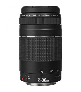 Canon EF 75-300mm f4-5.6 III