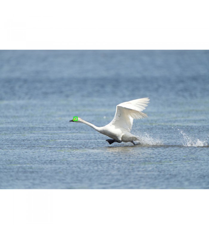 دوربین بدون آینه سونی a7R V - بدنه