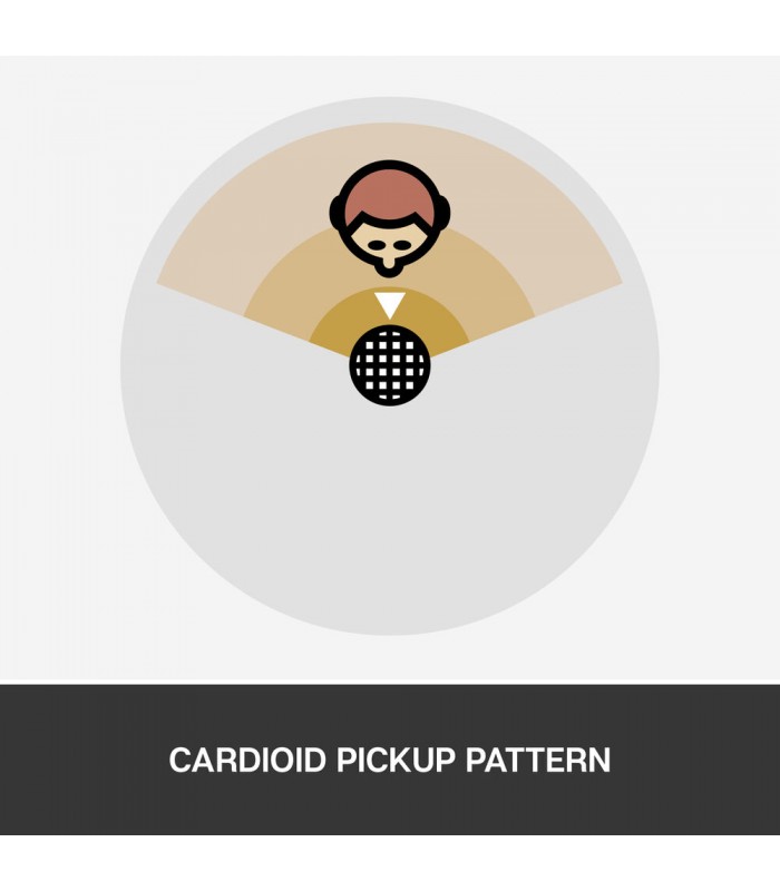 میکروفون کاندنسر بلو مدل Snowball iCE رنگ سفید