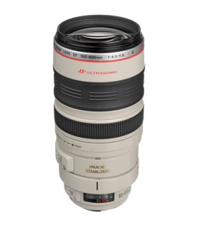 Canon EF 100-400mm f4.5-5.6L IS USM