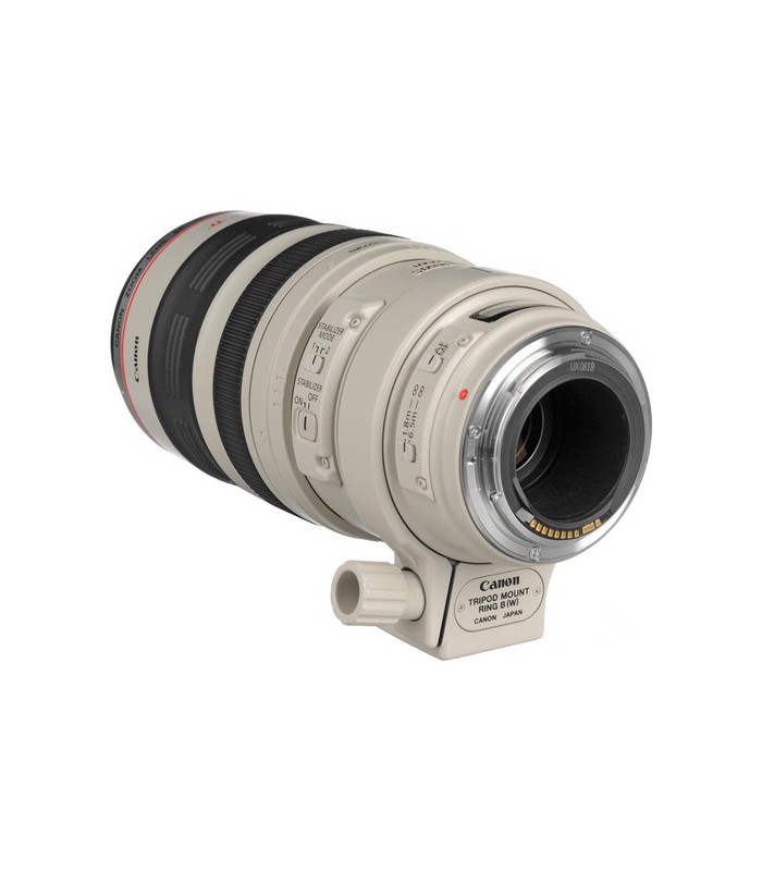 Canon EF 100-400mm f4.5-5.6L IS USM