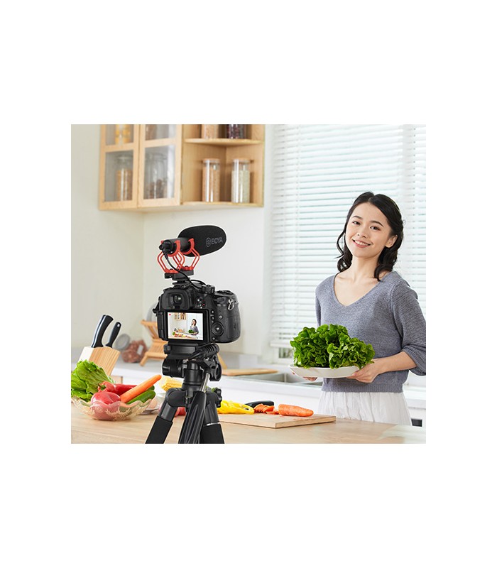 میکروفون شاتگان بویا مدل Boya BY-BM2040