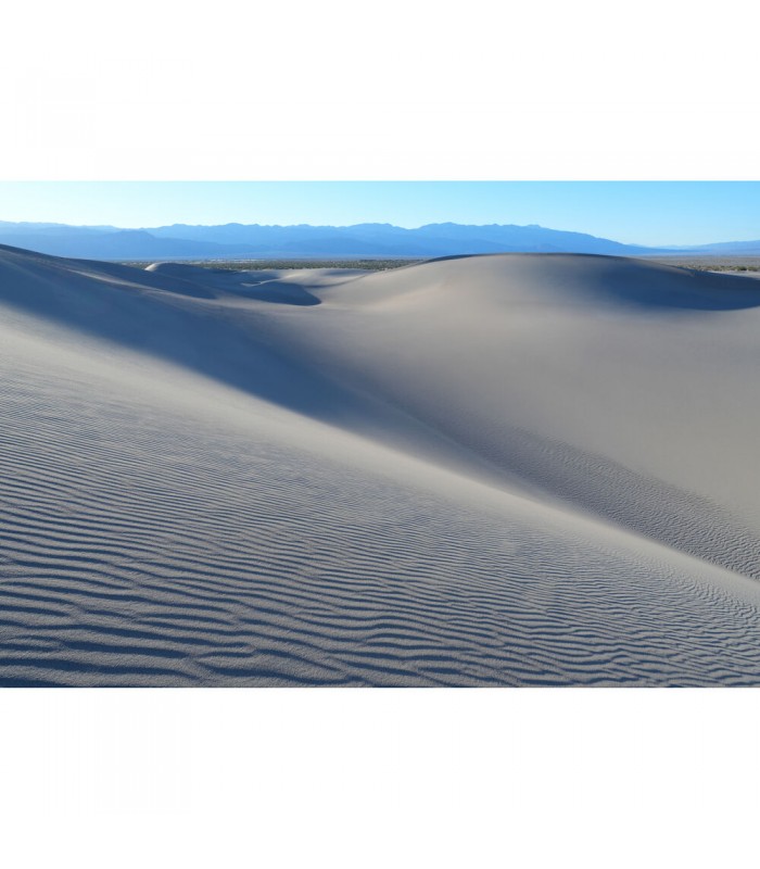 لنز سونی مدل FE 20-70mm F4 G