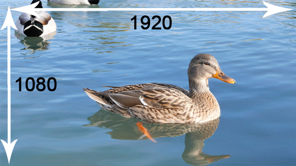 عکس طبیعت با رزولوشن 1920*1080