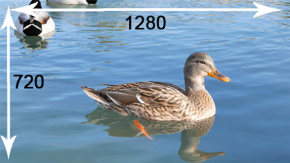 عکس طبیعت با رزولوشن 1280*720